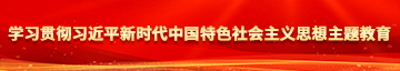 啊啊啊啊骚逼视频学习贯彻习近平新时代中国特色社会主义思想主题教育